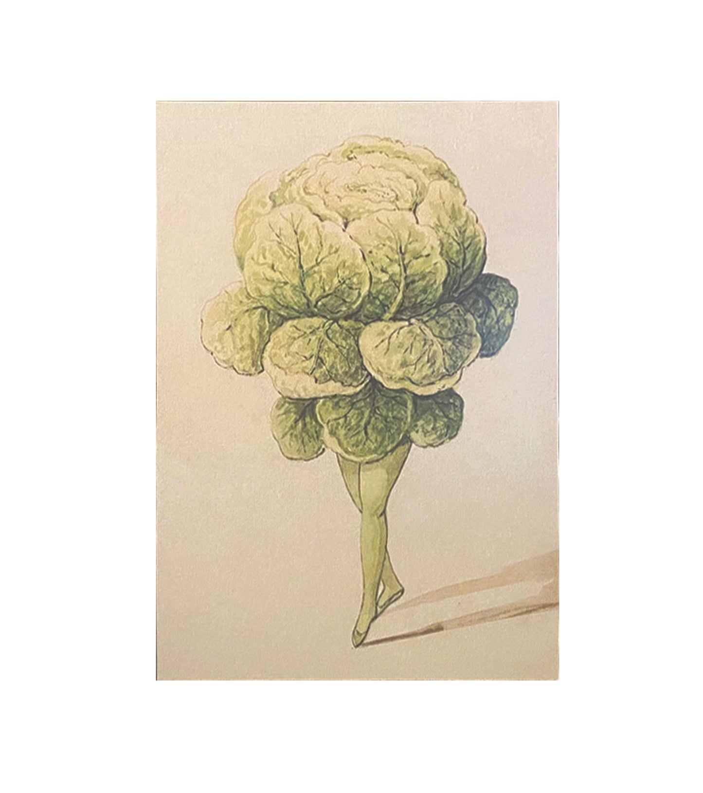 Butter Lettuce Ballet