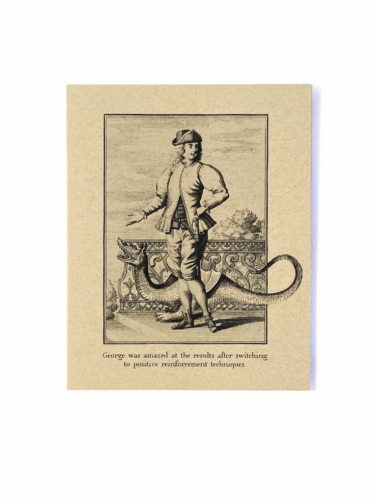 How to Train Your Dragon