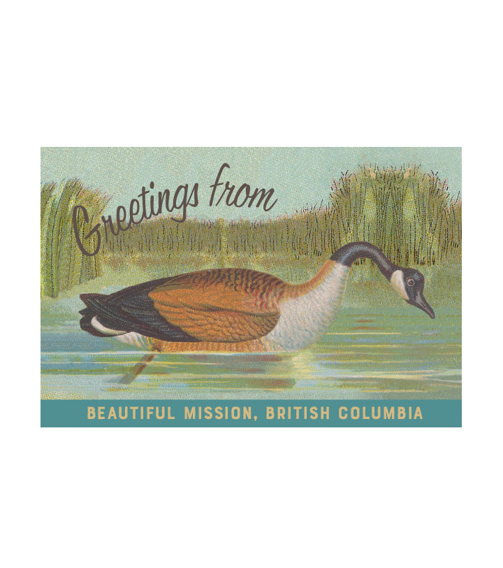 Mission Goose