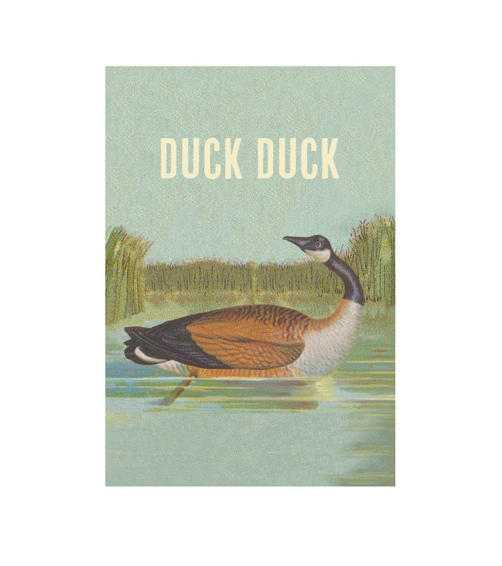 Duck Duck Goose