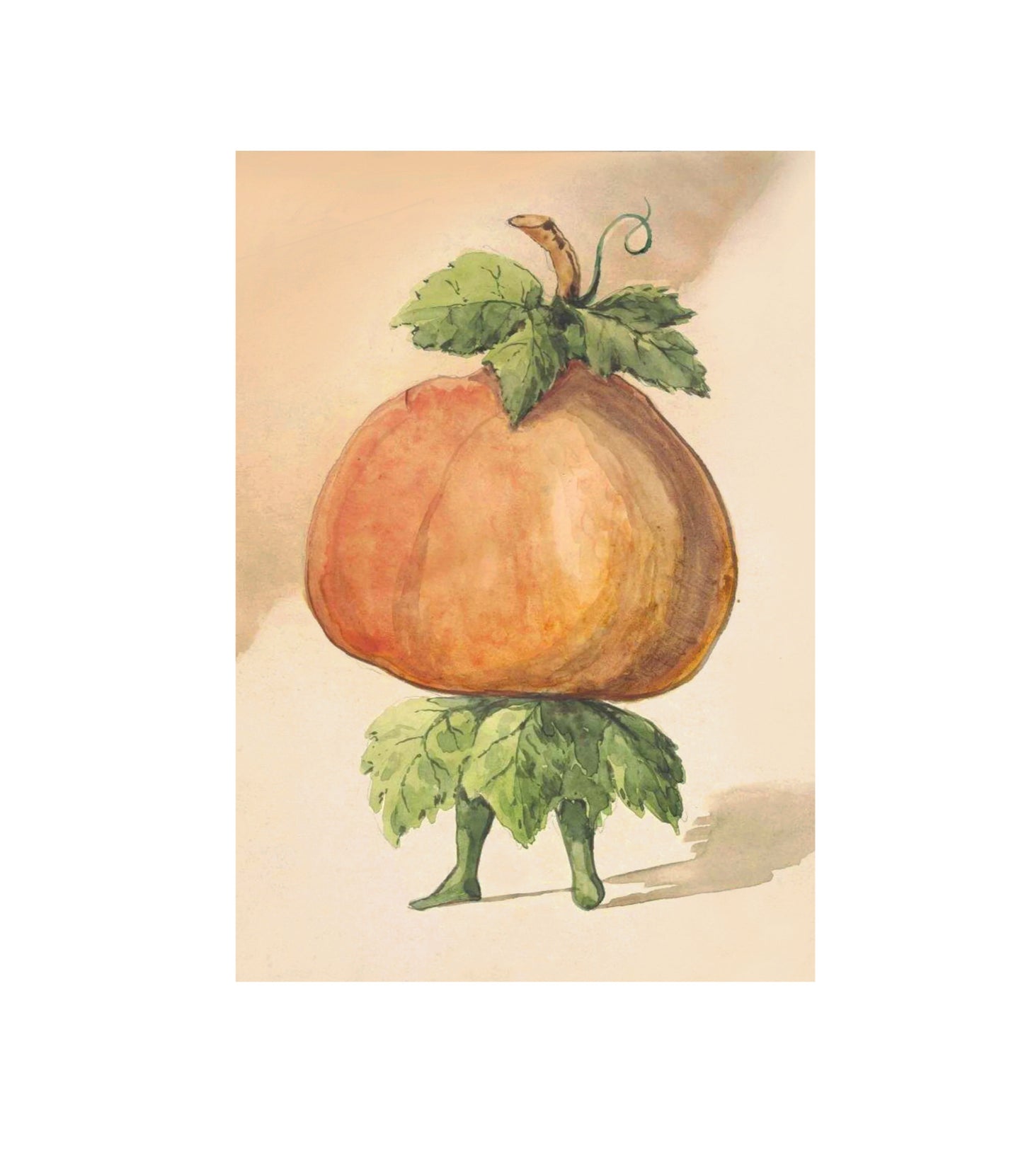 Persimmon Pirouette