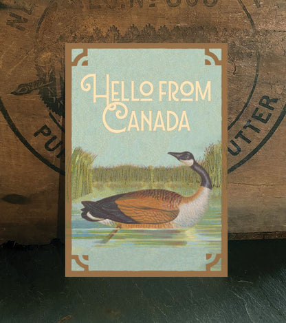 Canada Goose