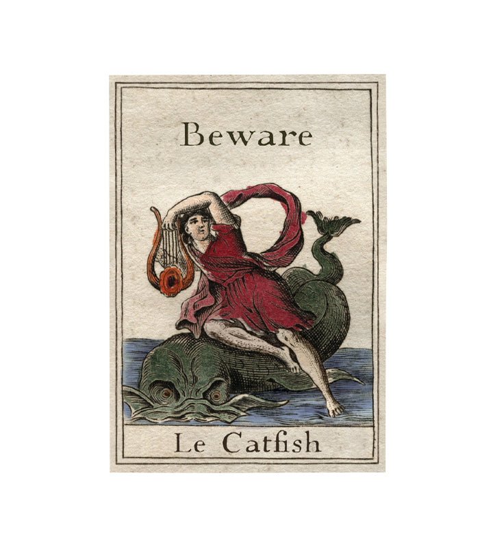 Le Catfish