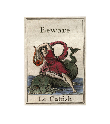 Le Catfish