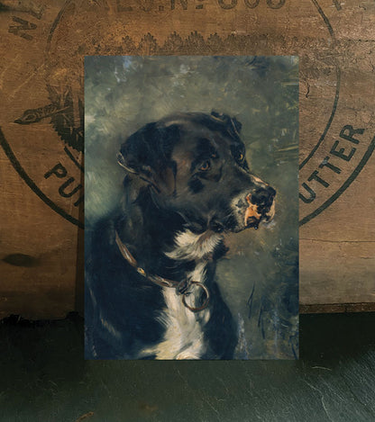Butcher's Dog