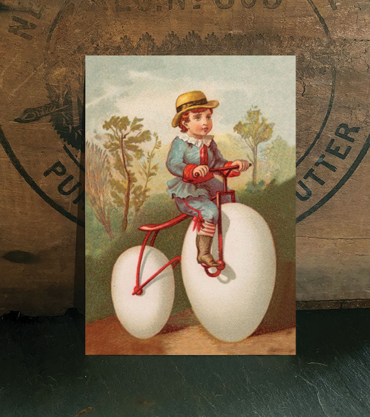 Eggcycle