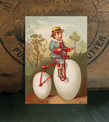 Eggcycle