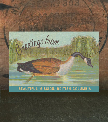 Mission Goose