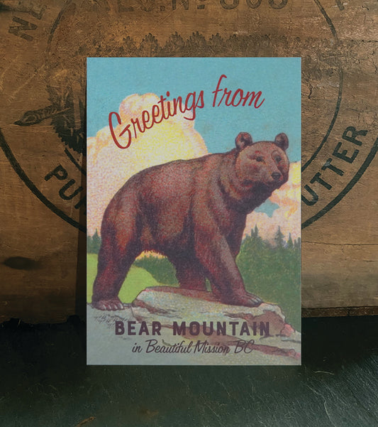 Bear Mountain Mission