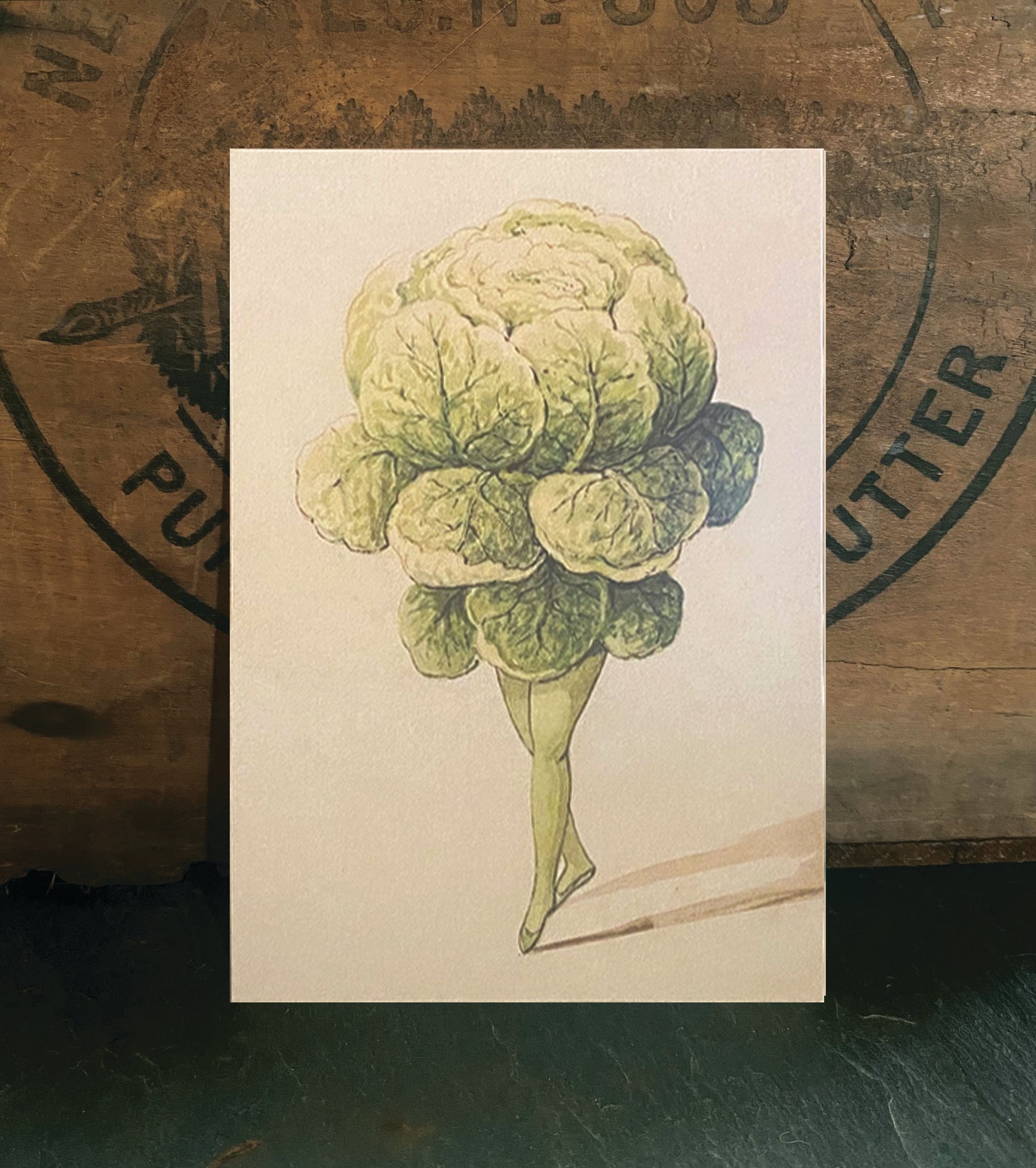 Butter Lettuce Ballet