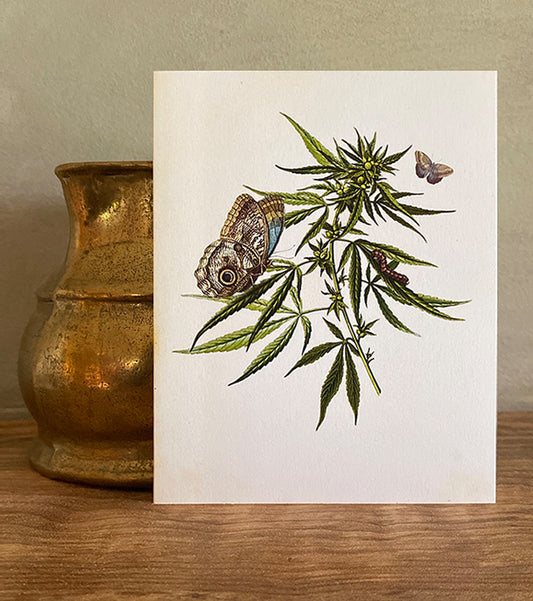 Cannabis Card