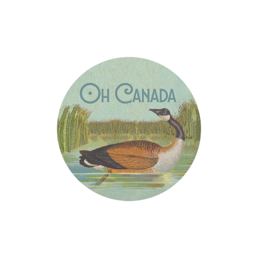 Oh Canada Goose