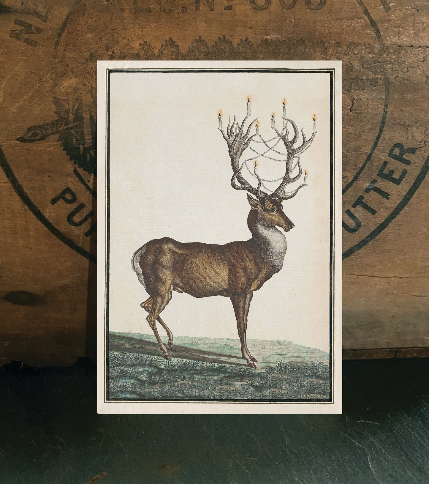 Christmas Stag
