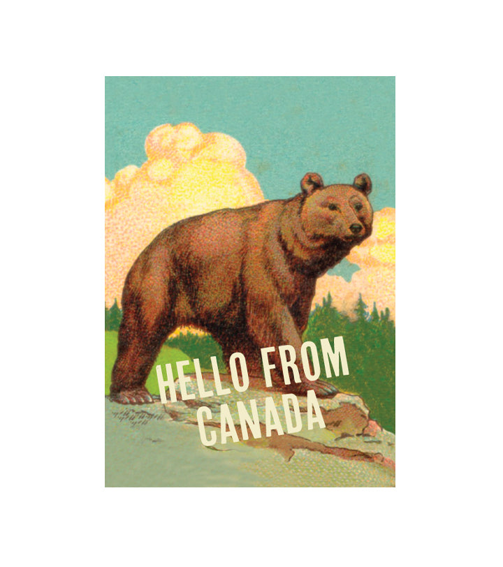 Hello Bear