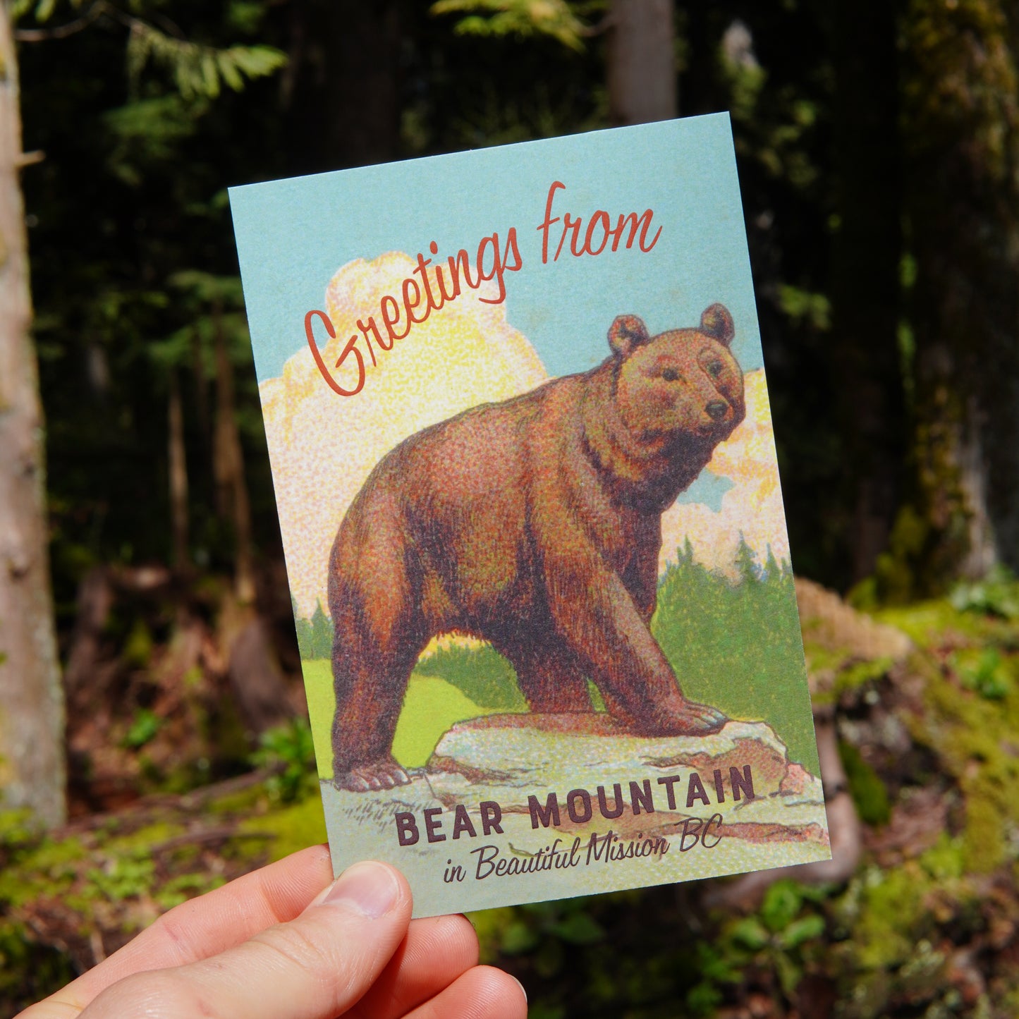 Bear Mountain Mission