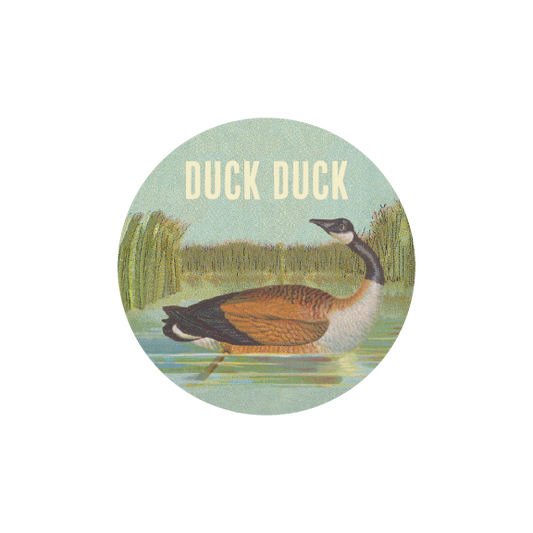 Duck Duck Goose
