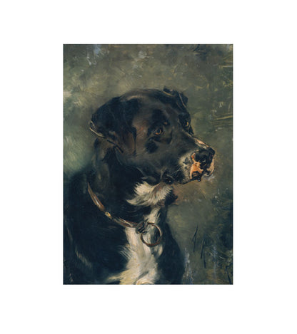 Butcher's Dog
