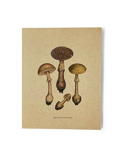 Illustration of mushrooms on a textured beige background