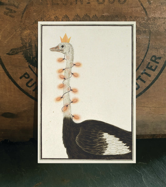 Christmas Ostrich Up Close