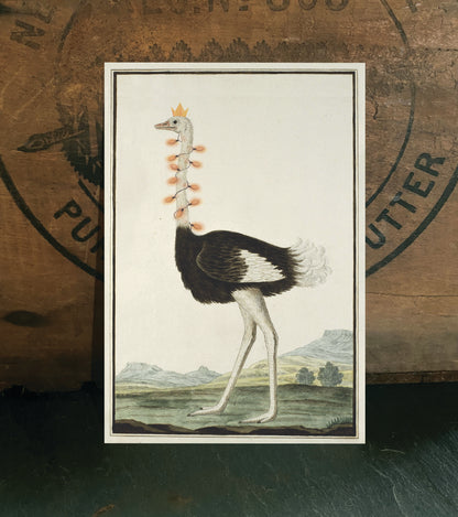 Christmas Ostrich