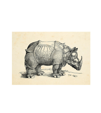 Rhinoceros