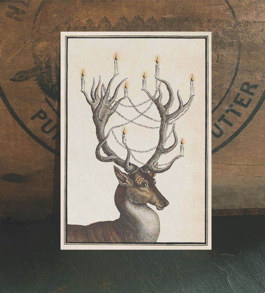 Christmas Stag up close & personal