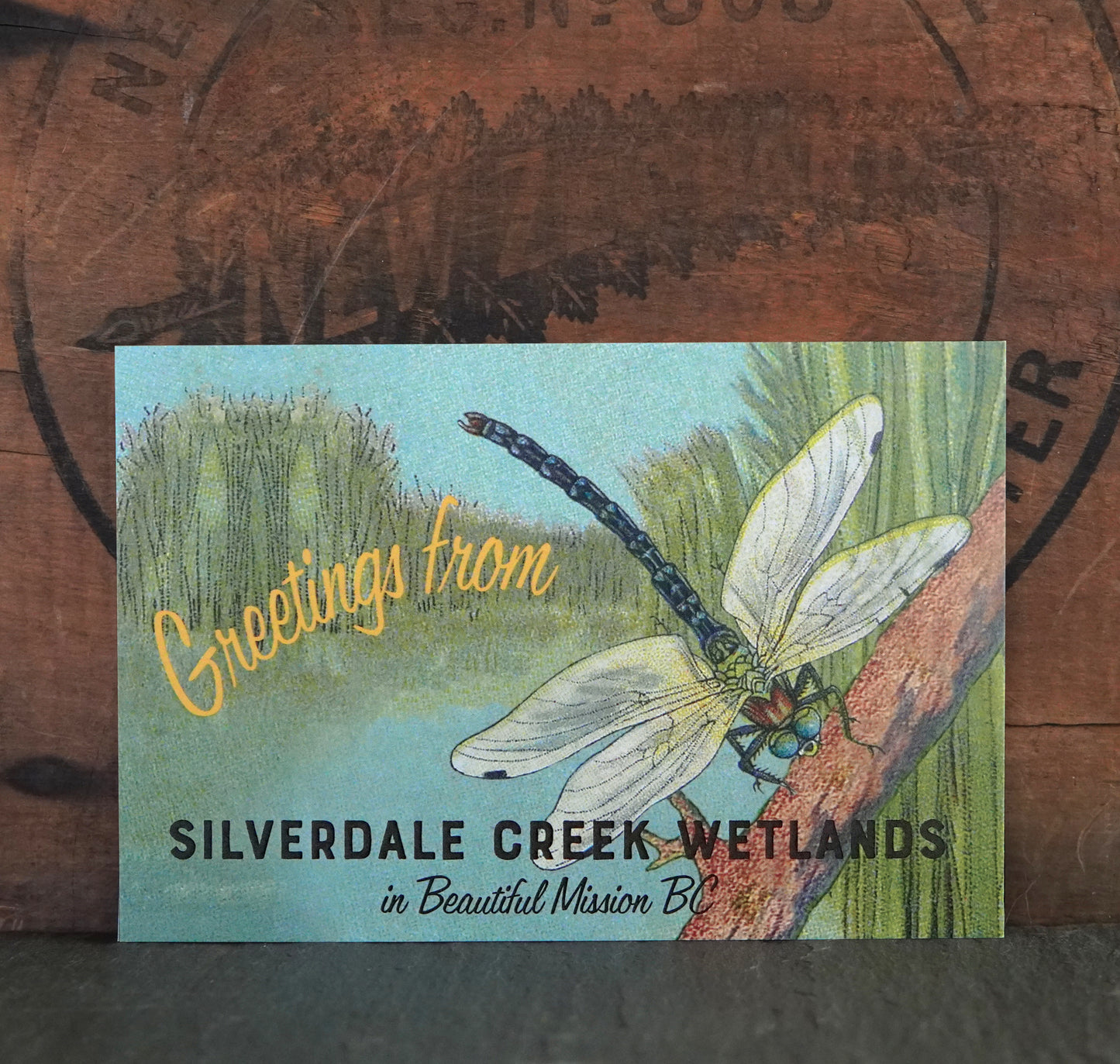 Silverdale Wetlands Mission