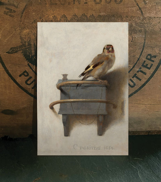 Sparrow